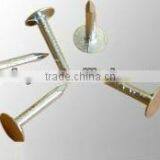 Big Head Clout Nail thumbnail-5