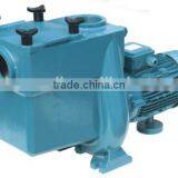 Metal Pool Pump thumbnail-1