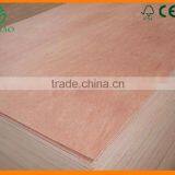 Shiny Bintangor Veneer for Interior Decoration Form China Wood Factory thumbnail-1
