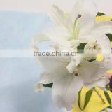 Pure and Mild Flavor Exquisite Yunnan Kunming Cut Flowers Oriental Lilies thumbnail-5