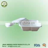 Sugarcane Pulp Salad Box