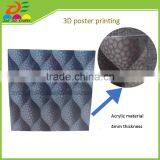 Business Gift Plastic 3d Adverting Poster for Company thumbnail-1
