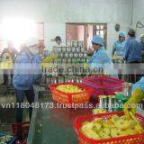 Canned Pineapple Slices in Light Syrup thumbnail-1