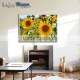 TUV GS SAA Rohs CE ISO9001 Manufacturer 2016 New White Surface Energy Saving360w 600w 720w 960w 1200w Heater Element