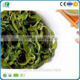 China Free Additives Green Dried Tea Leaves Organic Green Tea thumbnail-3