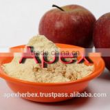 Apple Juice Powder / Malus Domestica Spray Dried Powder / Spray Dried Apple Juice Powder