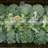 Broccoli thumbnail-2