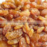 Dried Red Raisin thumbnail-1