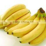 Pure and Natural Dried Banana Fruit Powder Musa Paradisiaca /Food Grade Banana Flavour Instant Powder