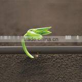 Drip Irrigation System thumbnail-2