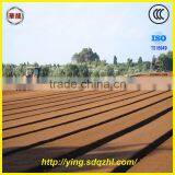 1GVF-240 Agricultural Equipment for Soil Preparation Machine Rotary Cultivator thumbnail-5