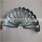 Top Quality Umbrella Head Twisted Roofing Nails Trusted Chuanghe Suppliers From Com thumbnail-4