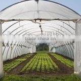 Single-span Film Greenhouse for Agriculture thumbnail-1
