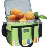 China Supplier Customized Promotion Cheap Disposable Cooler Bag thumbnail-1