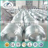 Bwg 20 Hot Dipped Galvanized Iron Wire thumbnail-1