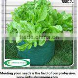 Reusable Salad Planter Bag,Salad Grow Bags,Salad Growing Bags