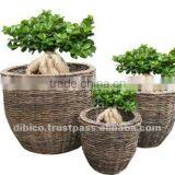 2012 Indoor Flower Planters/ Basket Natural Materials thumbnail-1