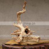 Driftwood For Airplant thumbnail-1