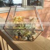 Simple Clear Glass Planter Terrarium thumbnail-2