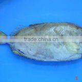 RabbitFish Whole Round thumbnail-1