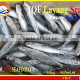 IQF LAYANG SCAD WHOLE ROUND thumbnail-2