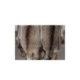 Sell Furs thumbnail-1