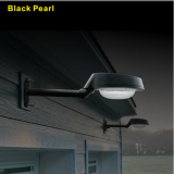 BLACK PEARL