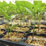 Black Plastic Cell Seeding and Nursery Seed Sprouter Tray thumbnail-2