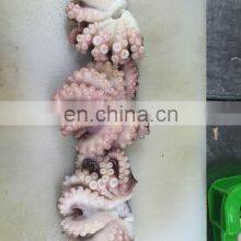 Popular Seafood Snack Takoyaki Frozen Roasted Octopus Ball thumbnail-5