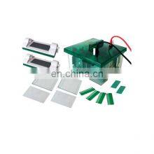 BN-Mini-P4 Vertical Electrophoresis
