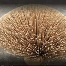 Manufacturing Standard Size Bulk Bamboo Sticks Wholesale Incense thumbnail-3