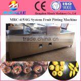 Sefri Dates Sultana Dates Process Pitting Pitter Machine thumbnail-3