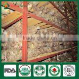 Nutritious Shiitake,White Flower Shiitake Mushroom Planter thumbnail-4