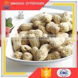 Direct From Factory China Roasted Red Skin Peanut Kernel thumbnail-6