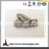 China factory customized galvanized hex head self drilling screw