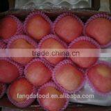 Fresh China New Crop of Fuji Apples/cold Room Goods thumbnail-1
