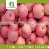 China Best Market Price Fuji Apple thumbnail-3