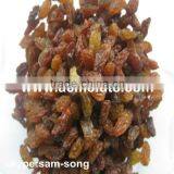 AAA Grade 95% Xinjiang Brown Raisin