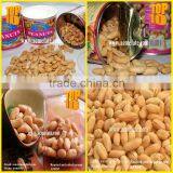 Delicious Snacks Canned Roasted Blanch Peanuts
