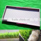 Plastic Seed Tray Sprouting Tray,PE Sprout Tray thumbnail-1