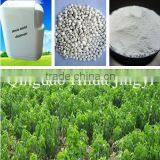 High Quality and Pure Stevia Extract