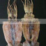 Dried Sleeve-fish thumbnail-1