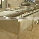 Spray Type Vegetable and Fruit Washing Machine Gentle Cleaning Machine