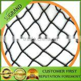 High Quality Factory Produce Anti Bird Net for Fruit Trees thumbnail-3