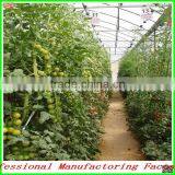 Environmental Small Size PC Sheet Green House With Stable Steel/aluminium Frame thumbnail-3