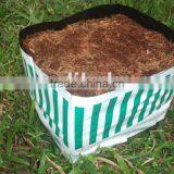 Planter Bag thumbnail-1