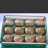 BV Onsite Check Assessed Supplier Customized Plastic 5 Compartment Tray For Fruit thumbnail-5