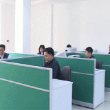 Shantou Dongyu Magnetoelectric Co., Ltd. company overview - view 2 thumbnail