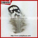 Hot Sale Dyed Wholesale Natural Cheap Artificial Pheasant Feathers Prices thumbnail-3