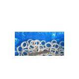 Squid Ring, Squid ri thumbnail-1